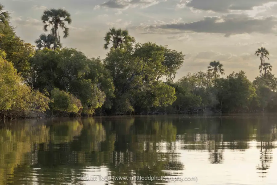 Biodiversity Conservation in Kafue National Park Zambia Matt Todd 7