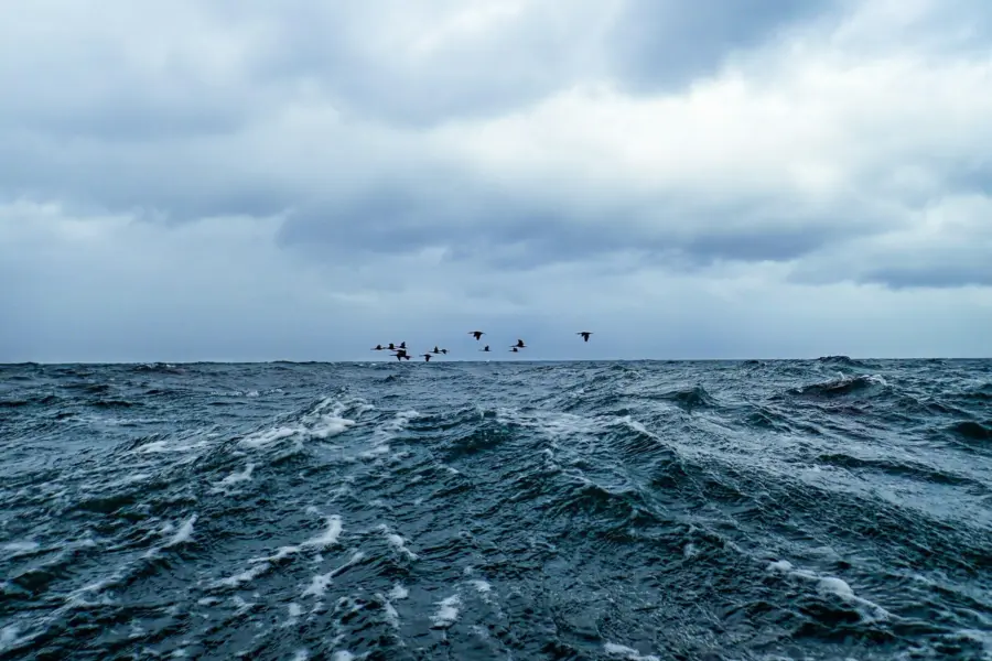 Ben wiid idq9to96oo unsplash