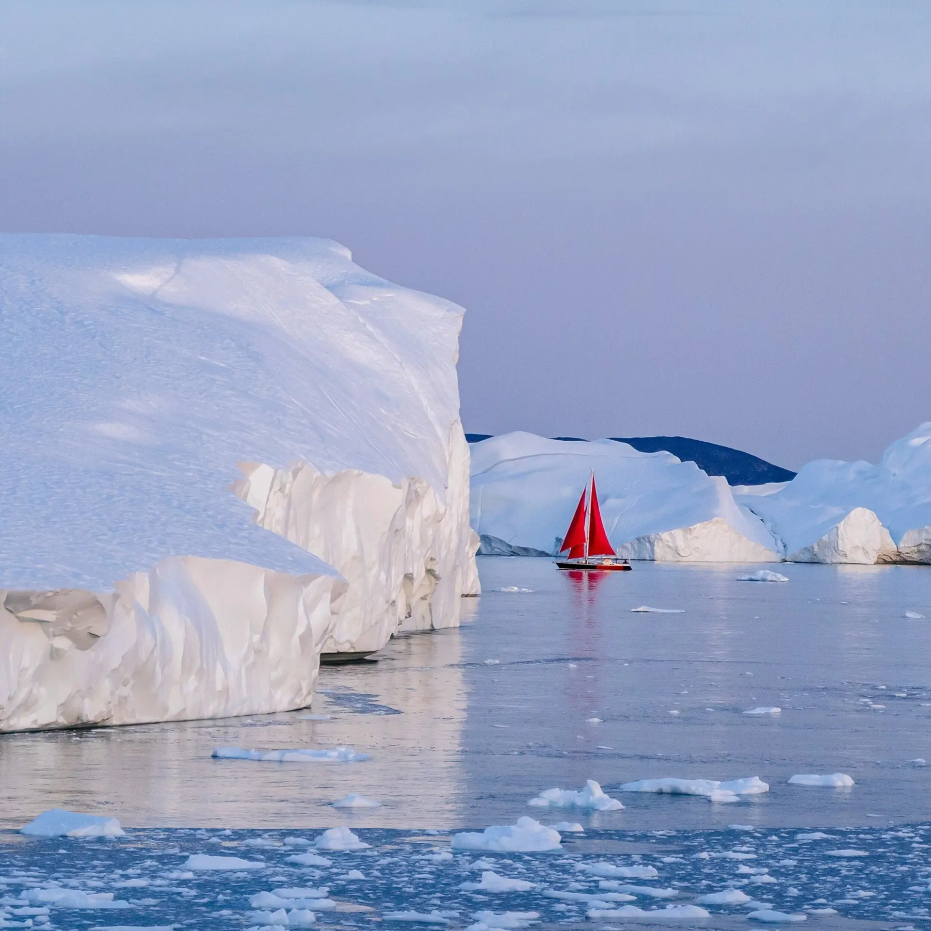 Hector john periquin sz P Dggb37o unsplash