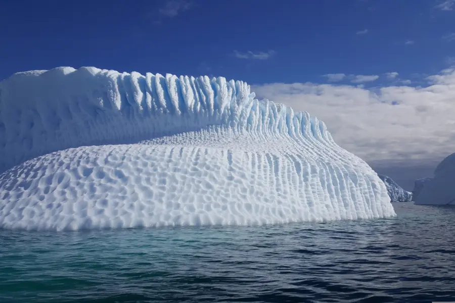 Seo sangkoo antarctica 3200561