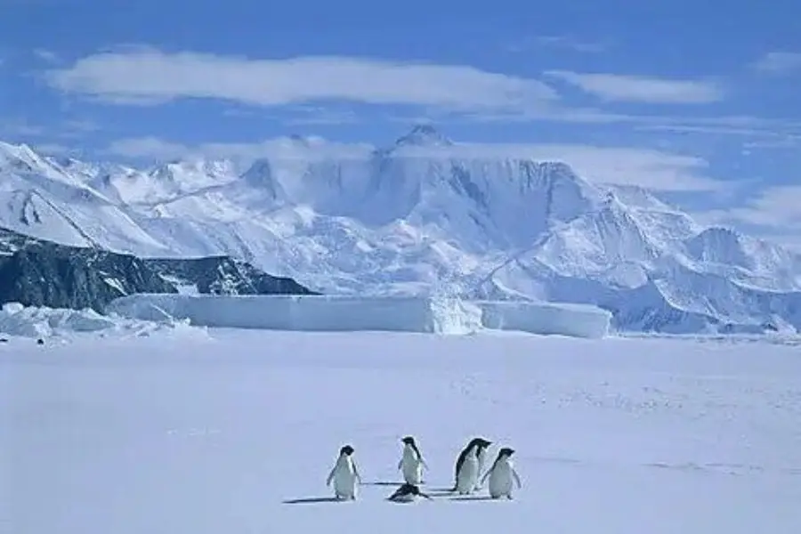 Commonwealth Bay