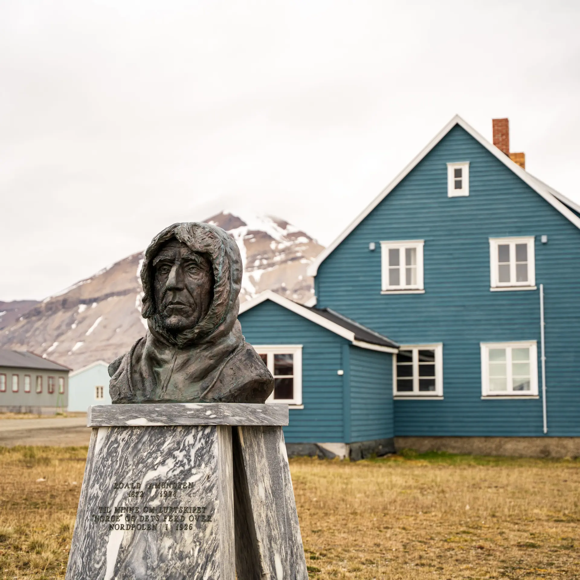 1765377134260no8239 1