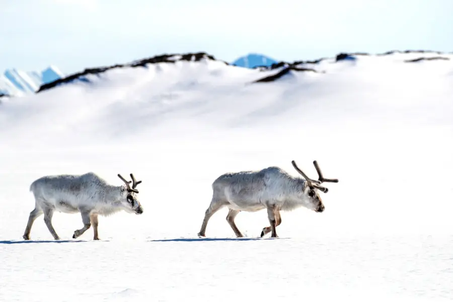 Adobestock 273009617