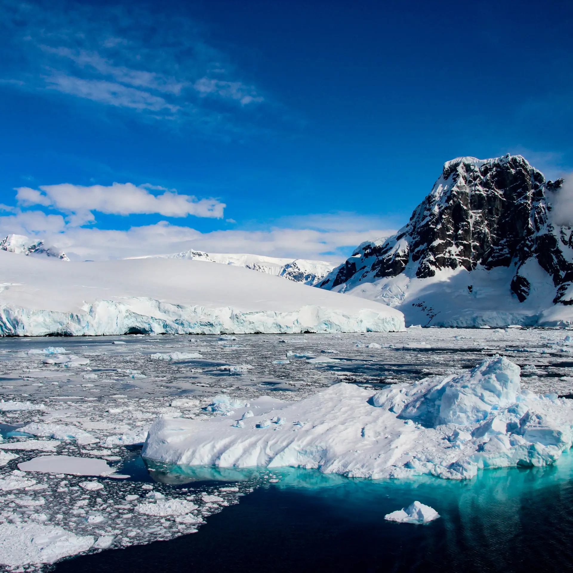 Shutterstock551152963