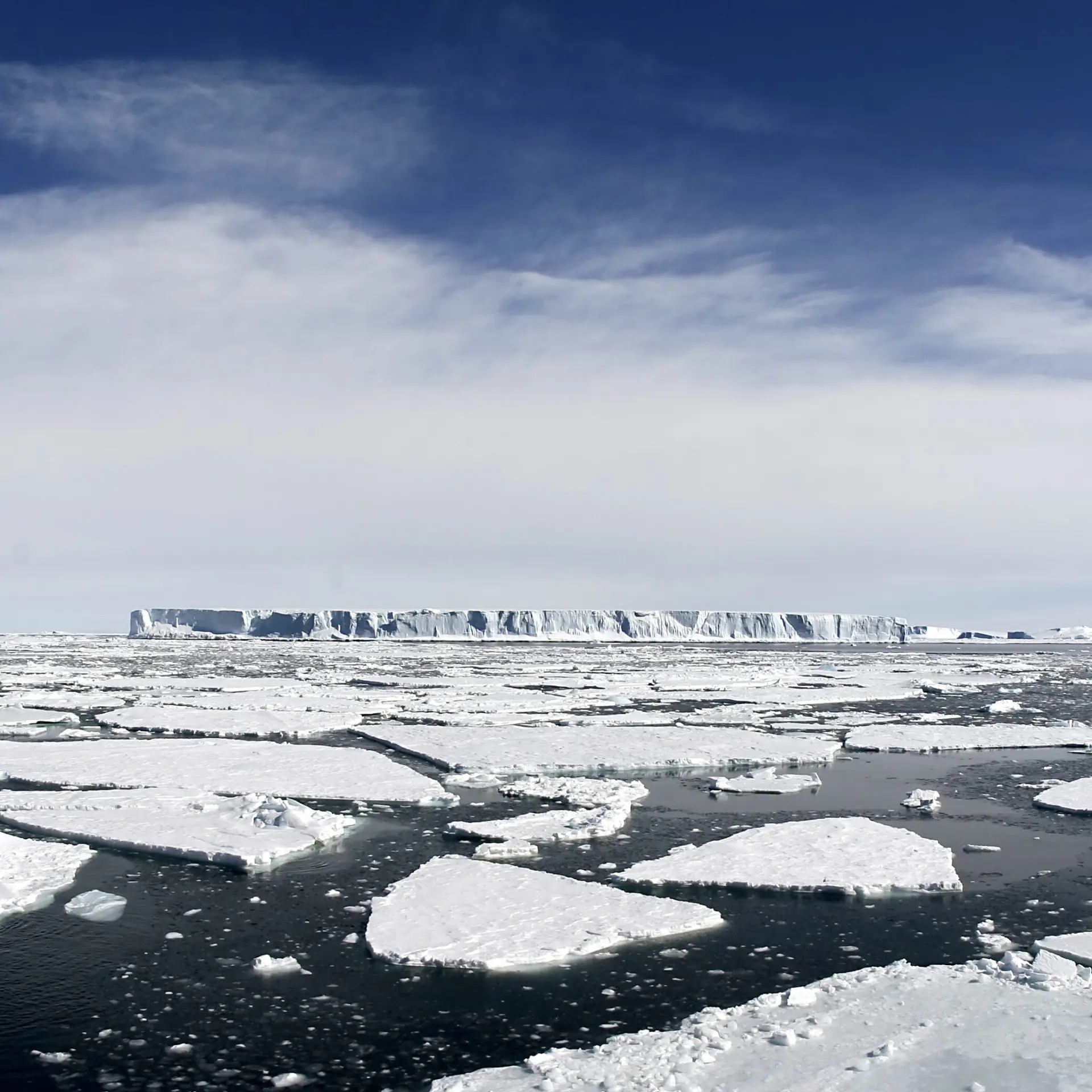 Shutterstock35295832