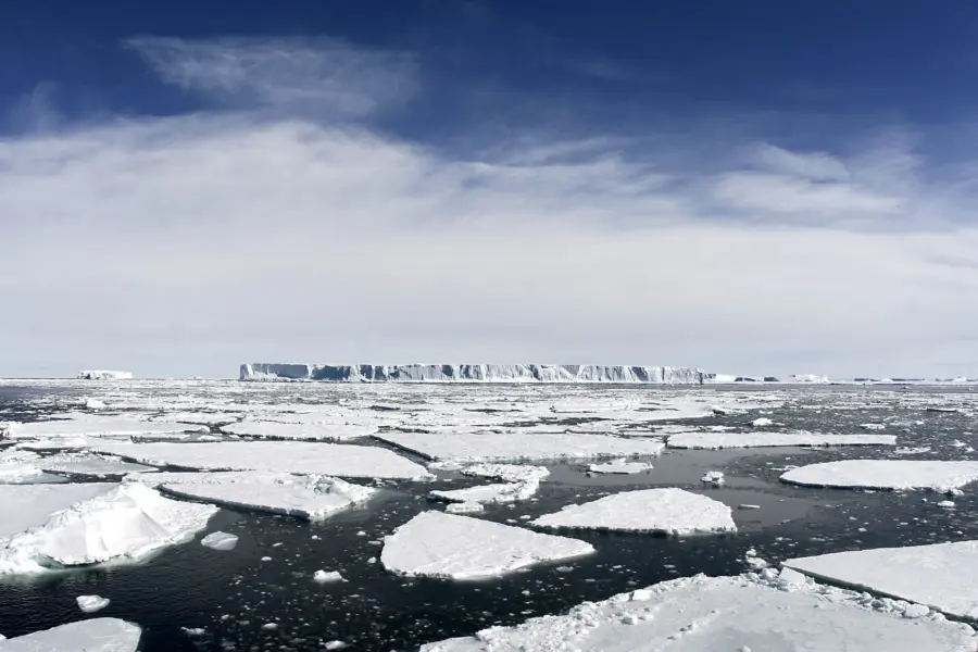 Shutterstock35295832