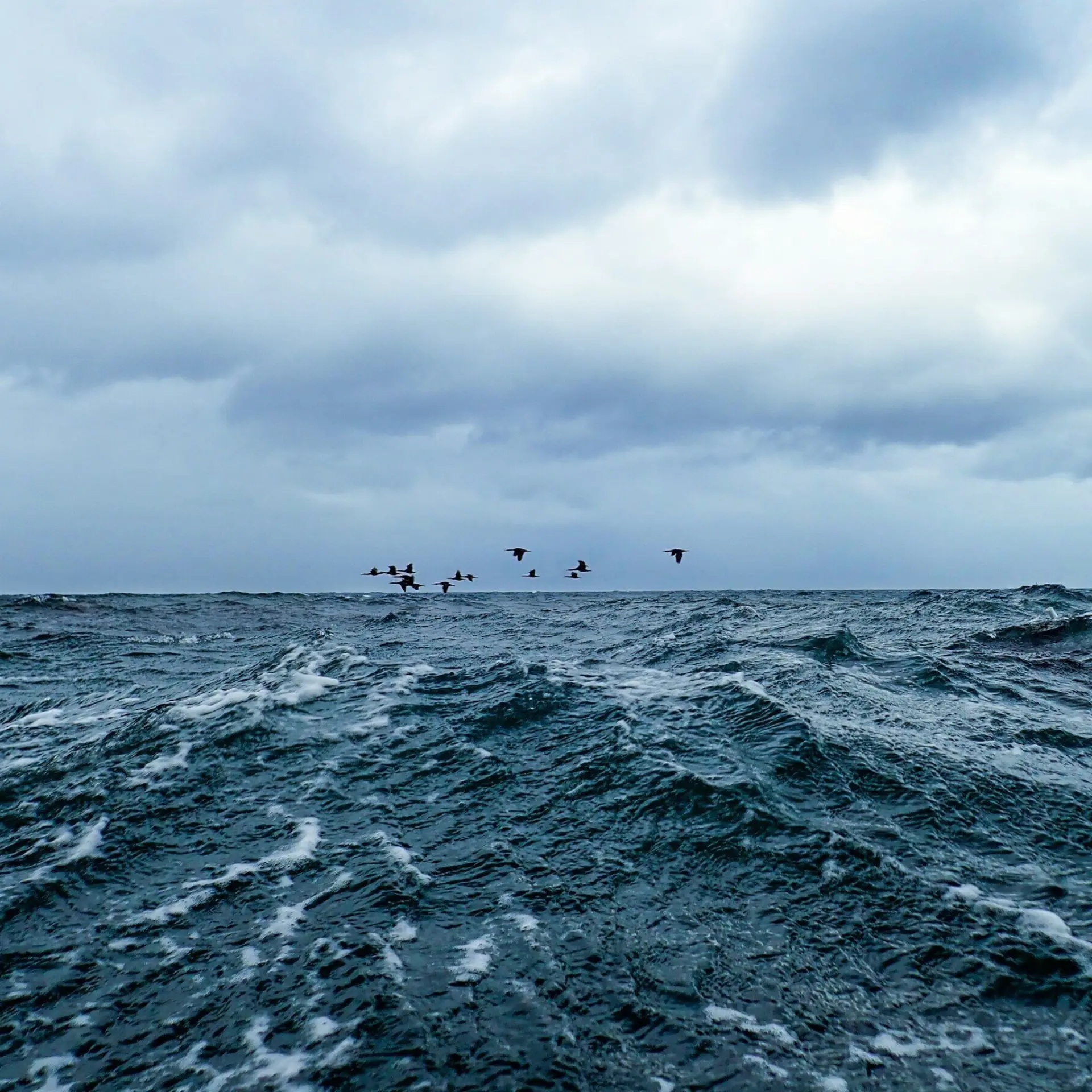 Ben wiid idq9to96oo unsplash