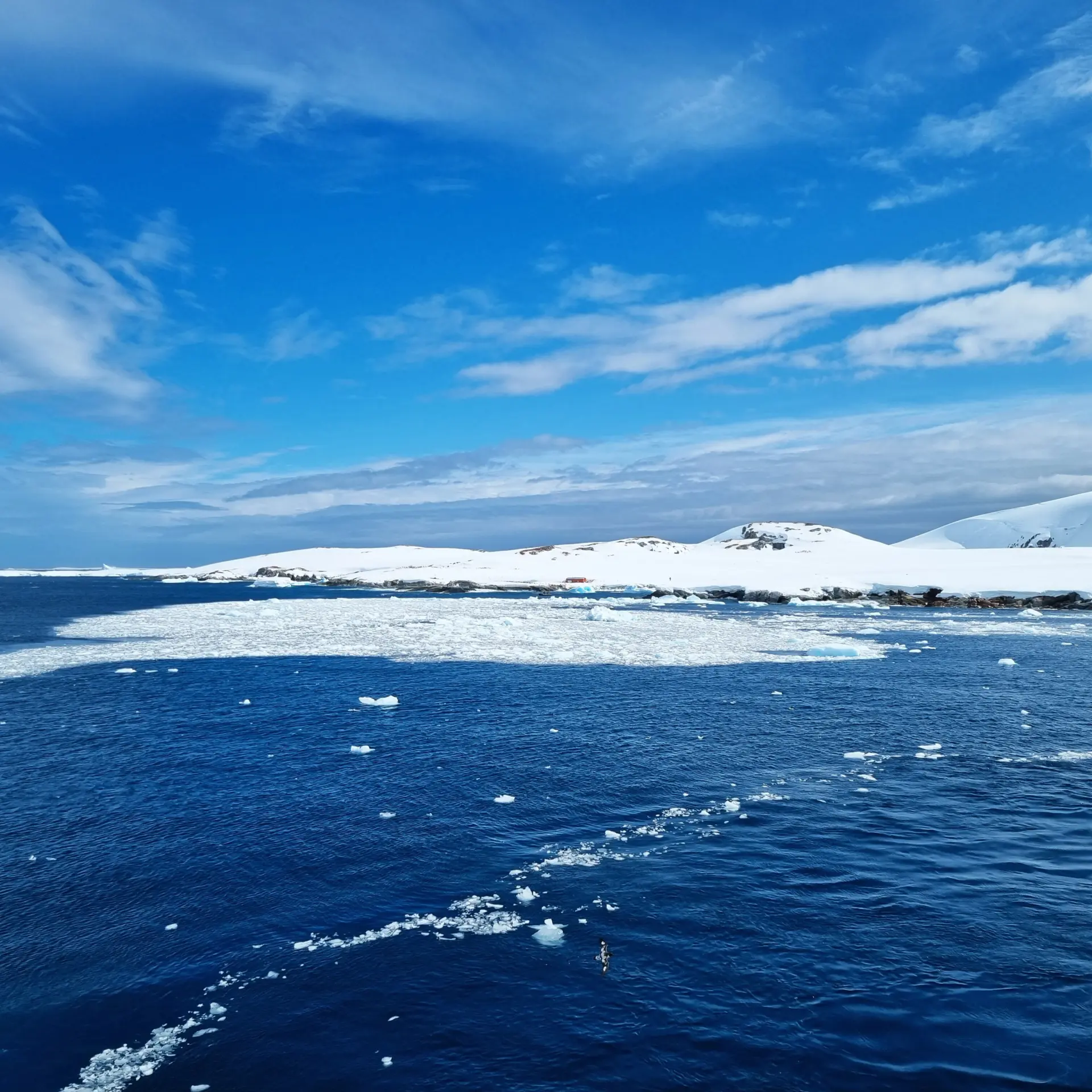 Avila reizen antarctica Ralph 20221119 142522
