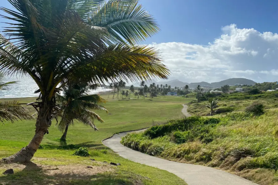 Katelyn comer 5iicoxhw0 unsplash