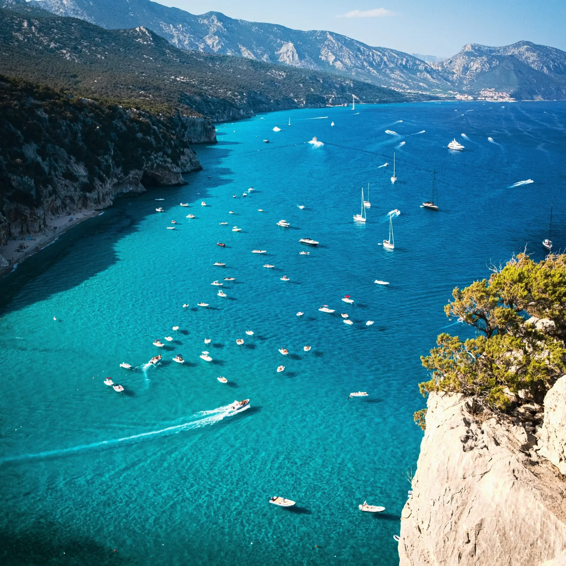 Dimitry b xp56op7upzo unsplash