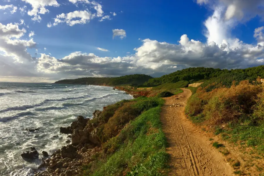 Daniel racecorner oz8t9rekbta unsplash