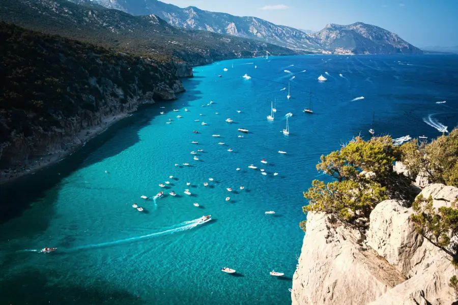 Dimitry b xp56op7upzo unsplash