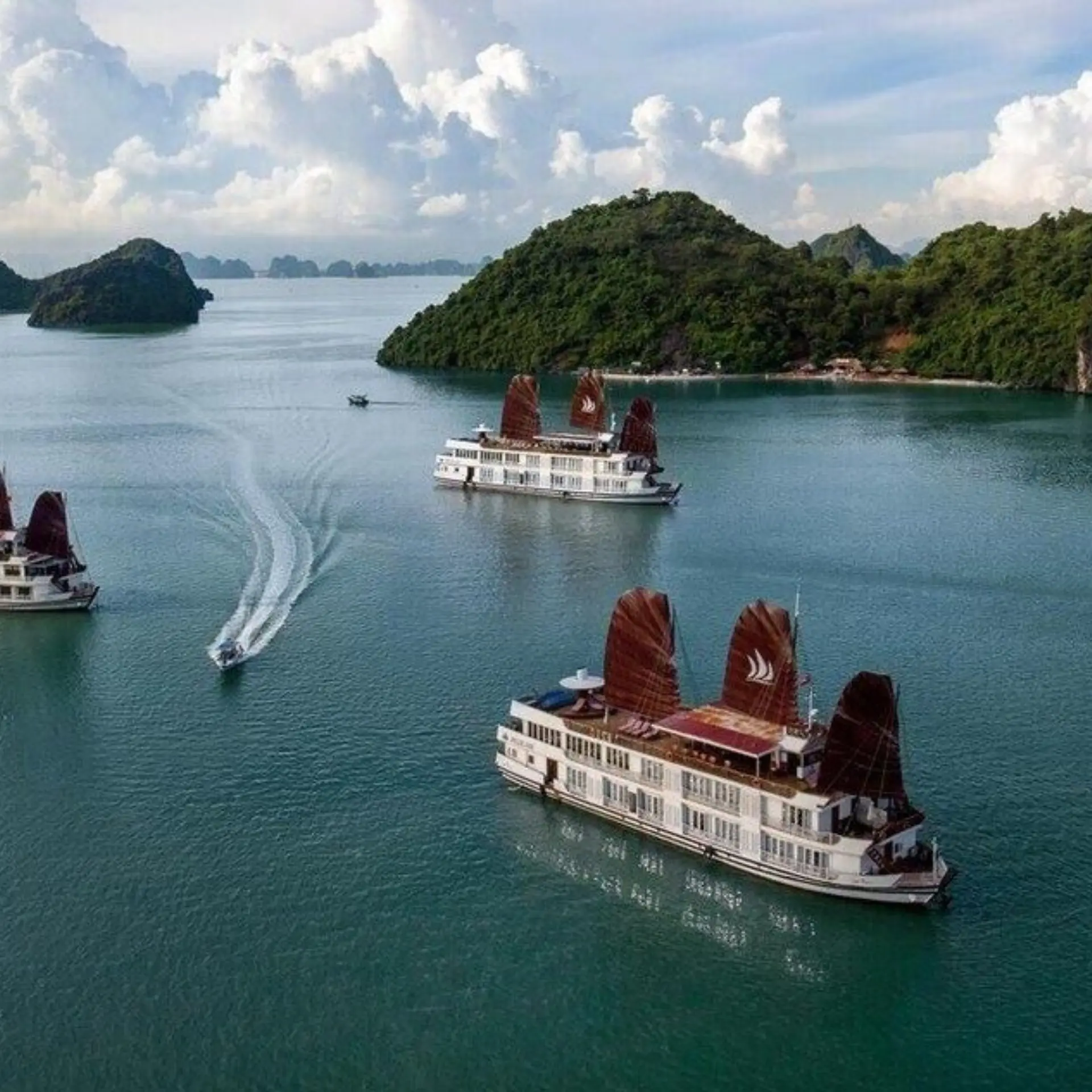 Cruise