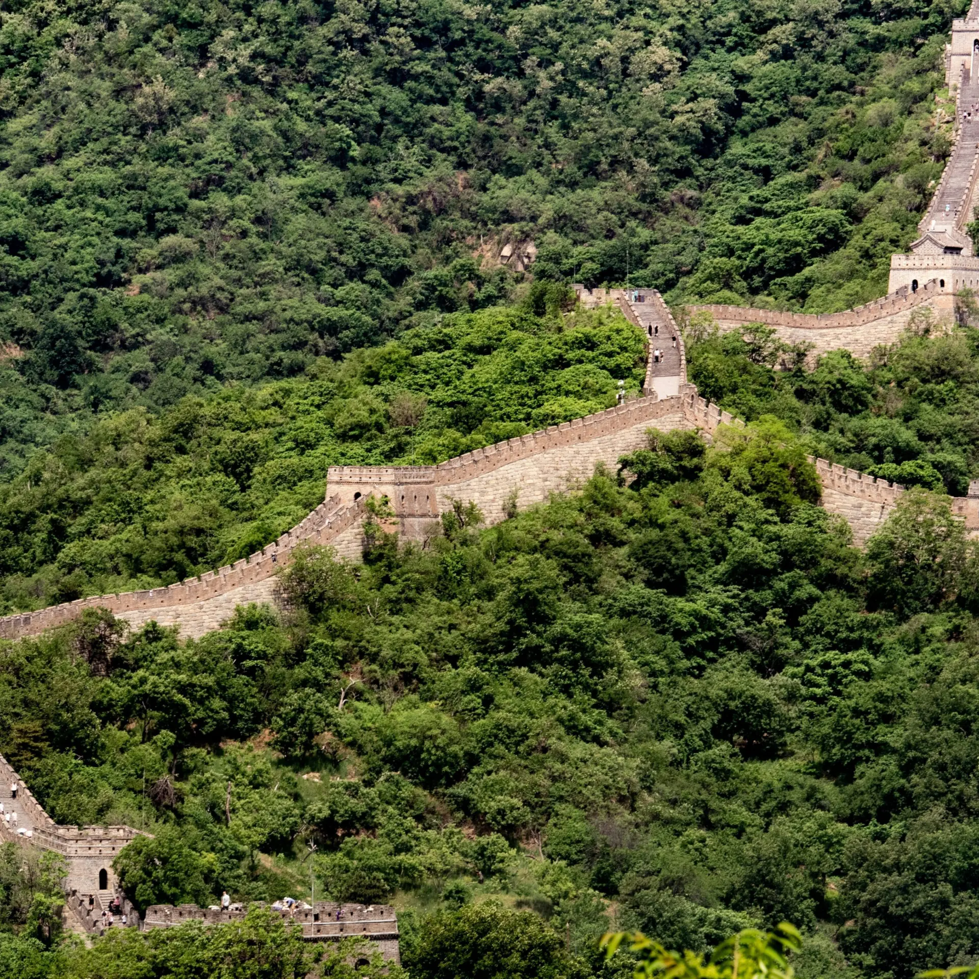 1777549381452jamie street zhiqorykuwq unsplash