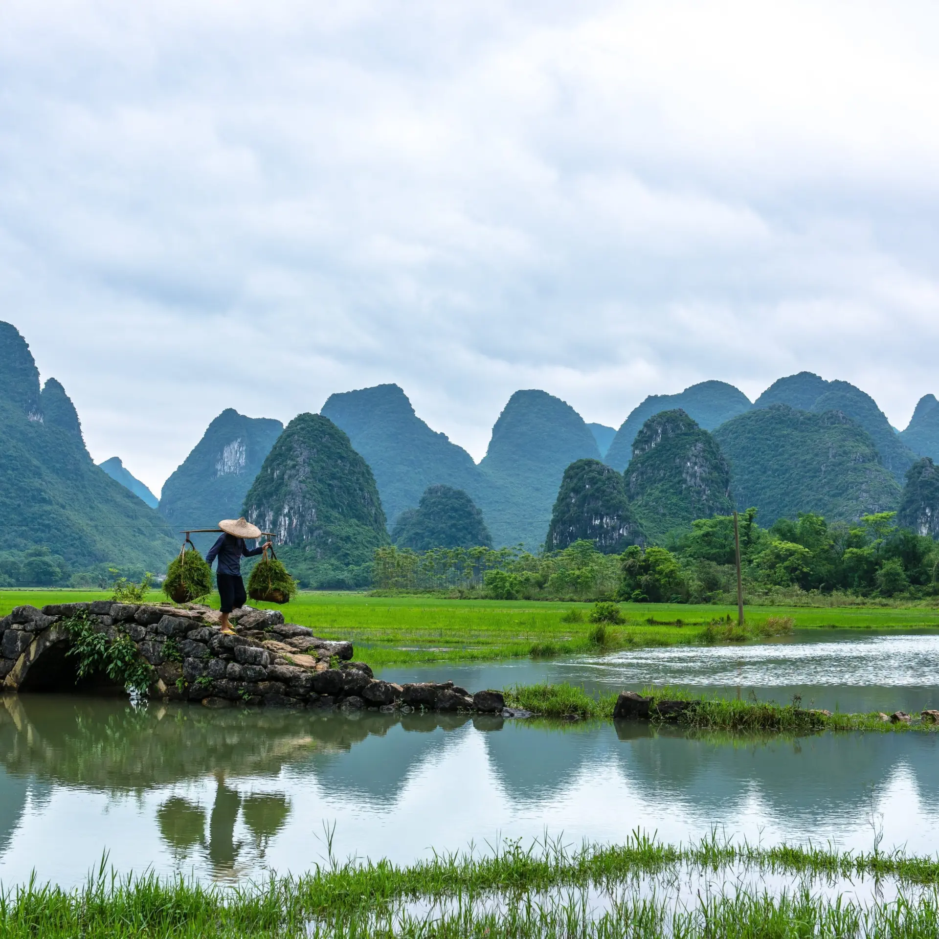 Mercierzeng landscape 7274823