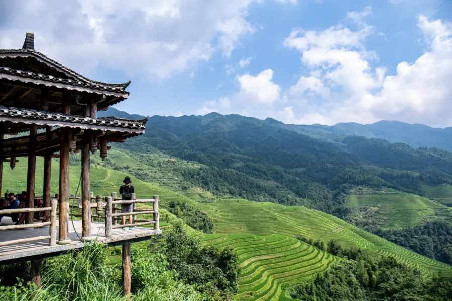 Rupar terraced fields 4440133