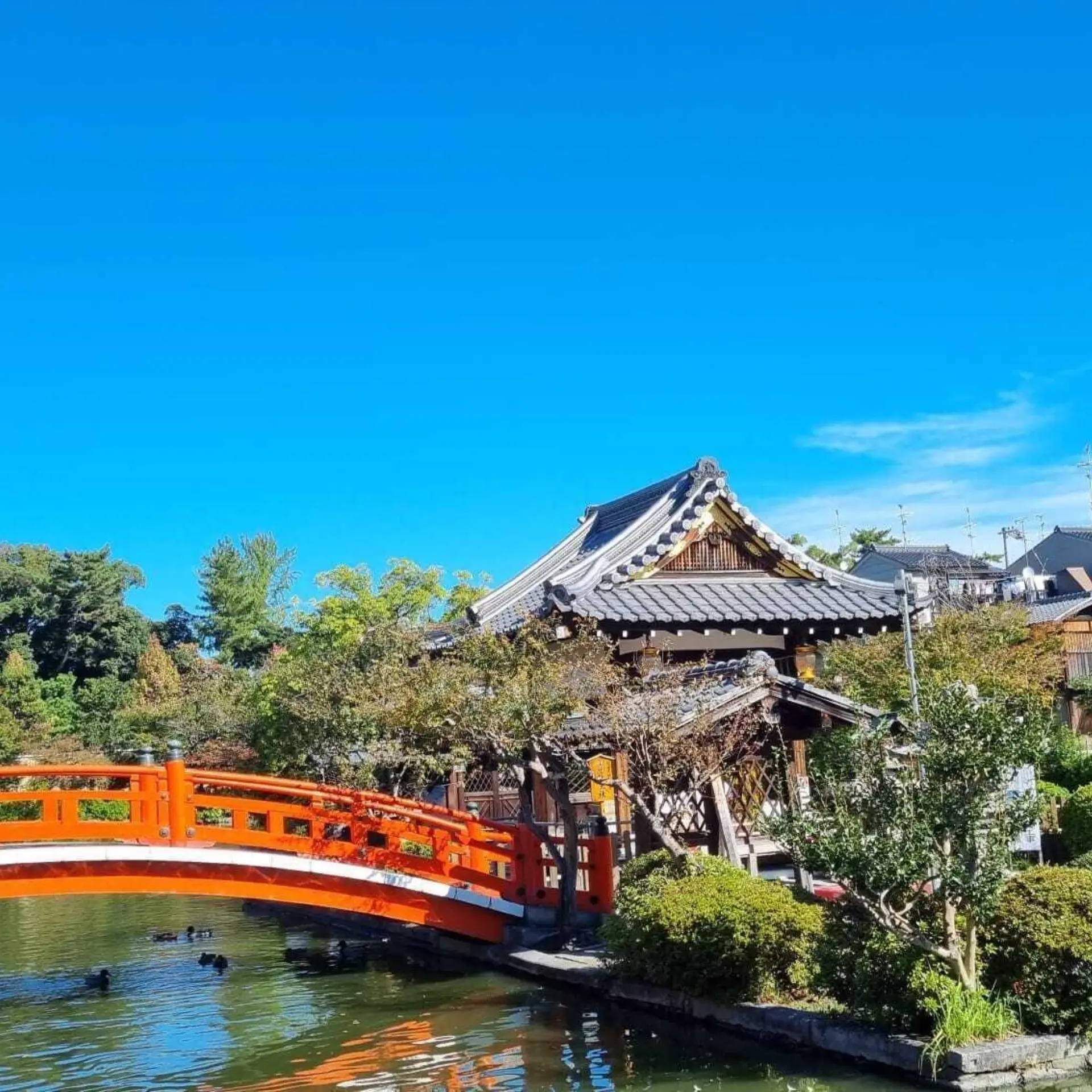 Whatsapp image 2023 01 24 at 16 29 22 6