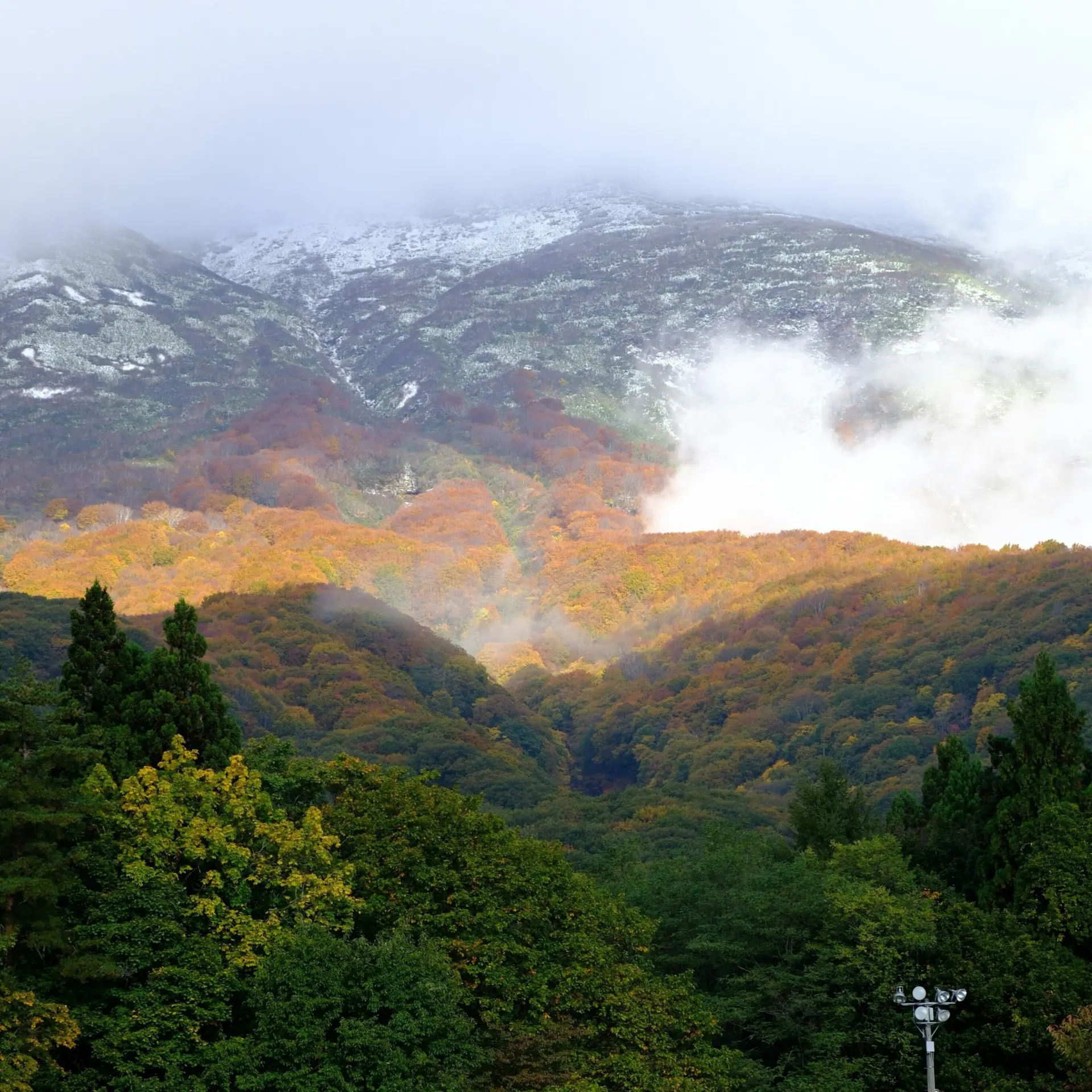 Seiya maeda 13hjz0o7cuo unsplash