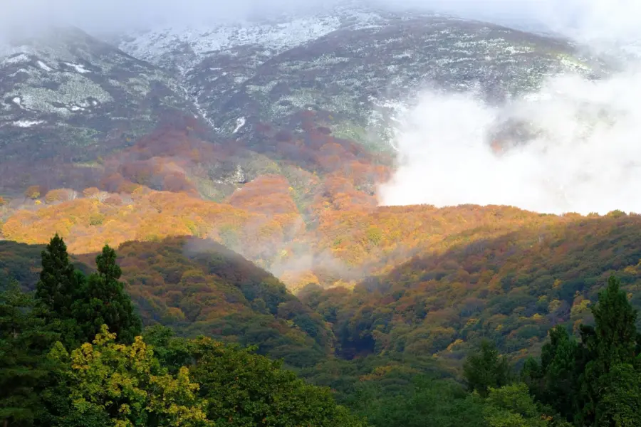 Seiya maeda 13hjz0o7cuo unsplash