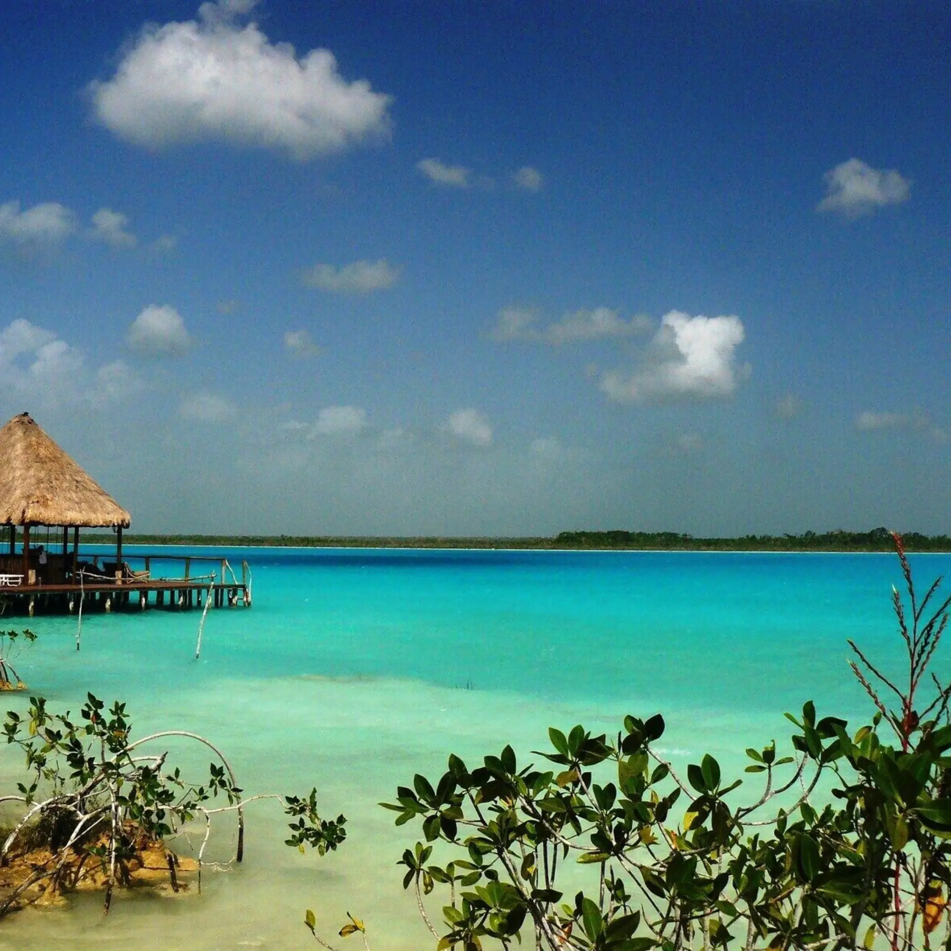 Bacalar7