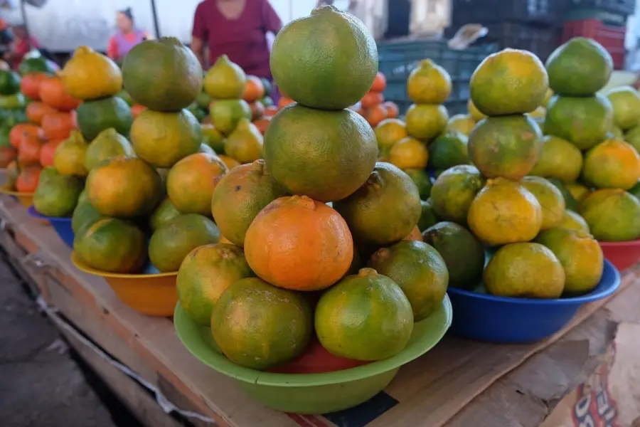 Oranges 4828736 1280