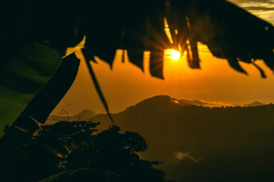 Denise leisner 8evv287st0e unsplash