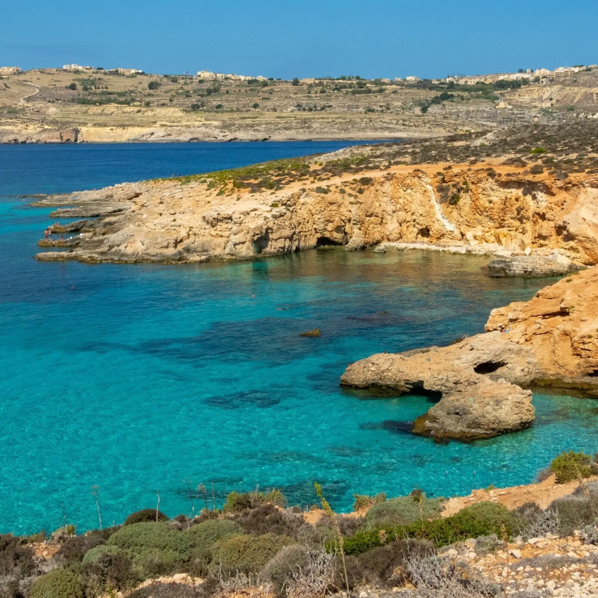 Nick fewings 1kknm5mp50y unsplash