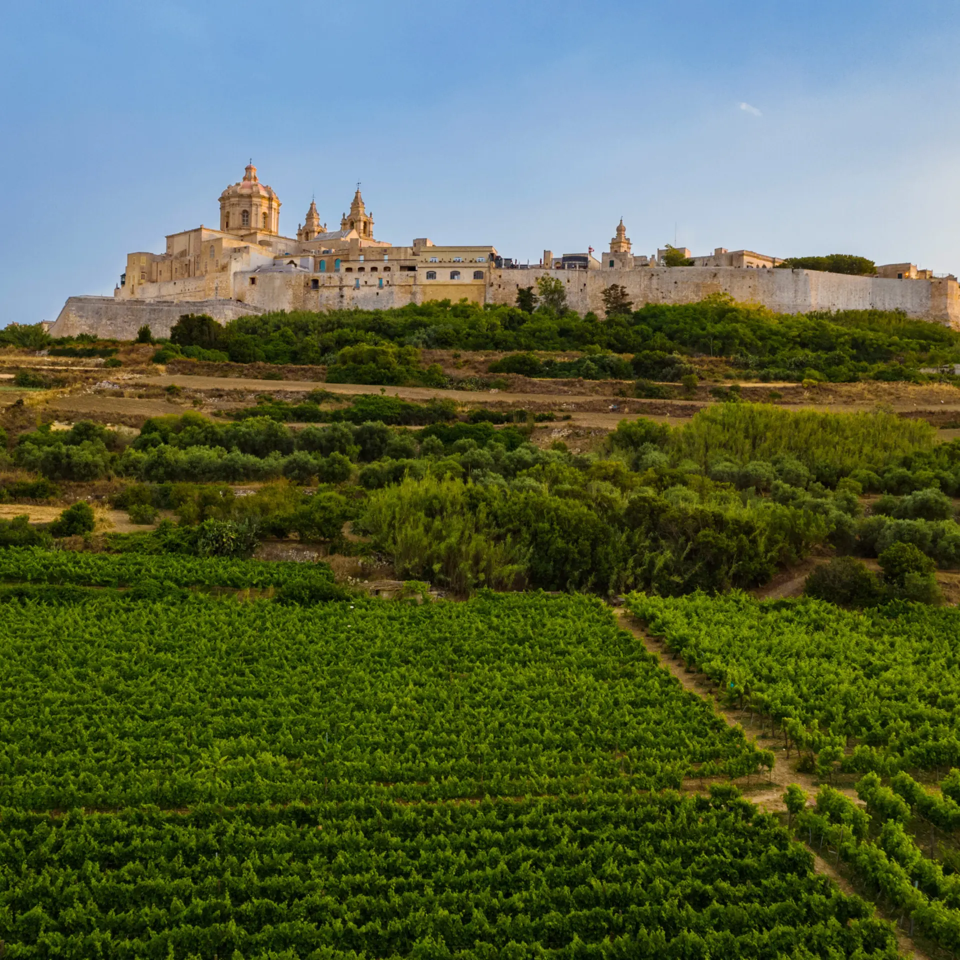 Shutterstock1746340535