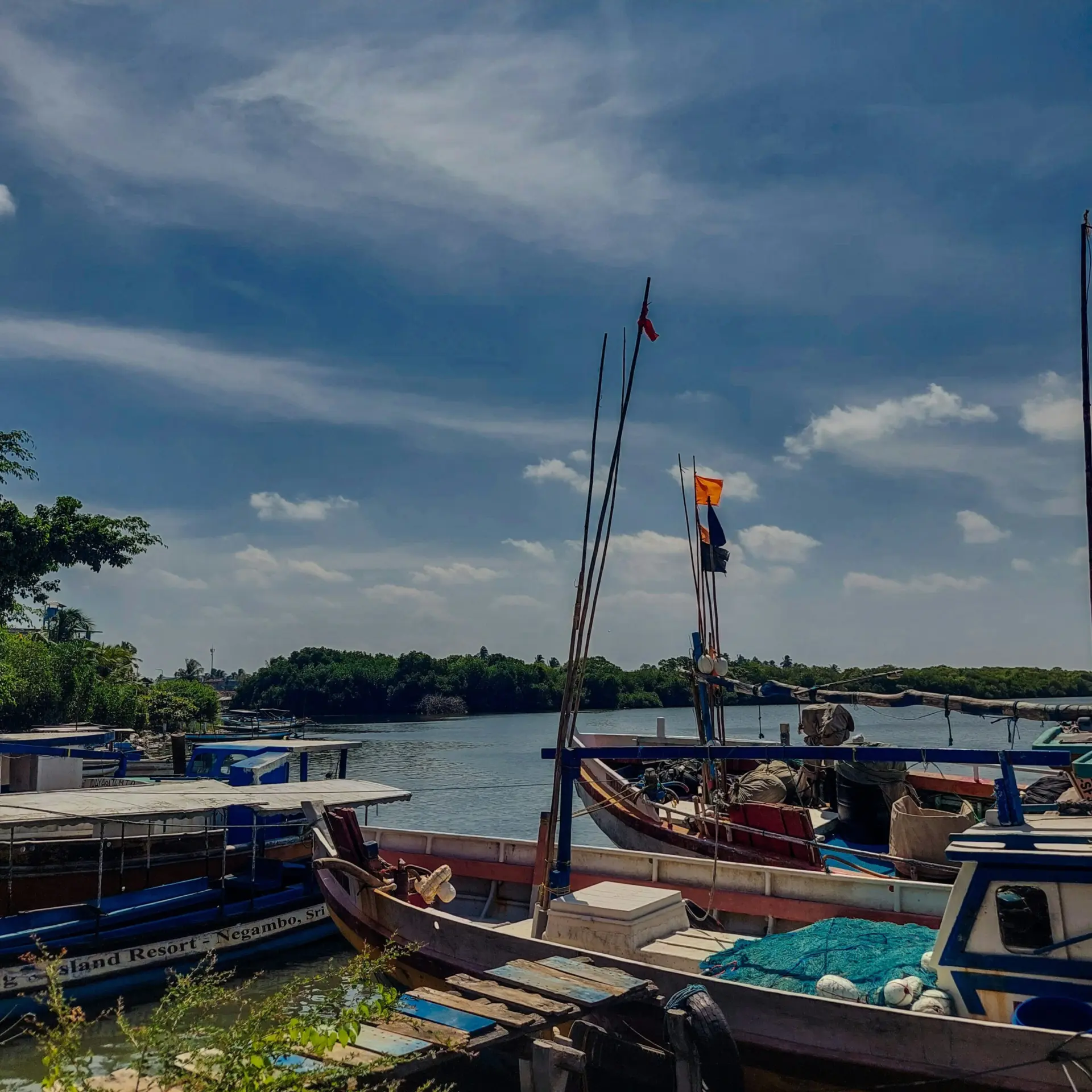 Samithu siriwardana qvpnurj5yhq unsplash