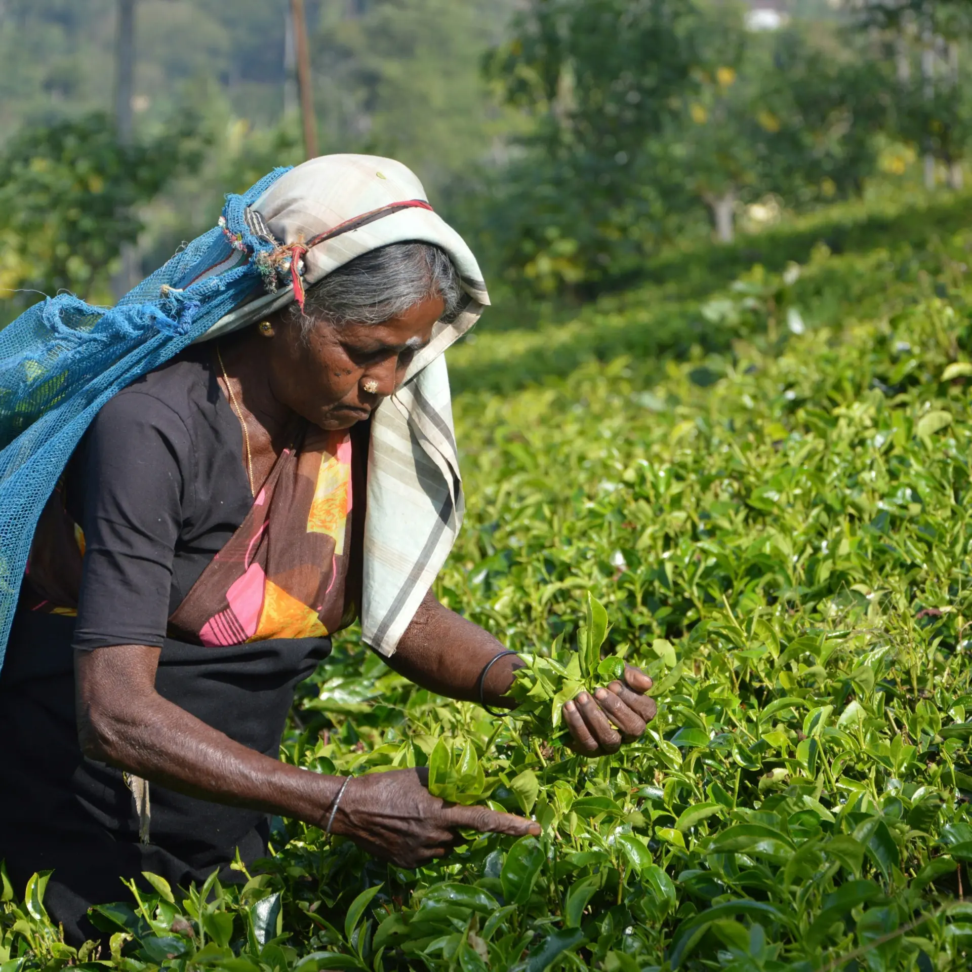 Asantha abeysooriya benitta8pp8 unsplash