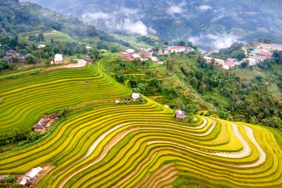 Rice Terraces Aerial