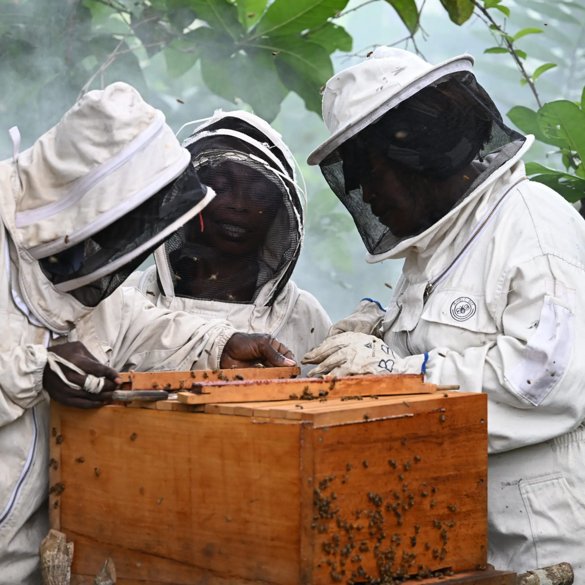 1765964306519dsc3570