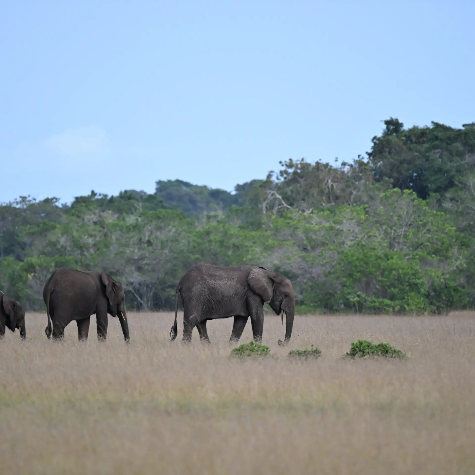 1765964594616dsc1798