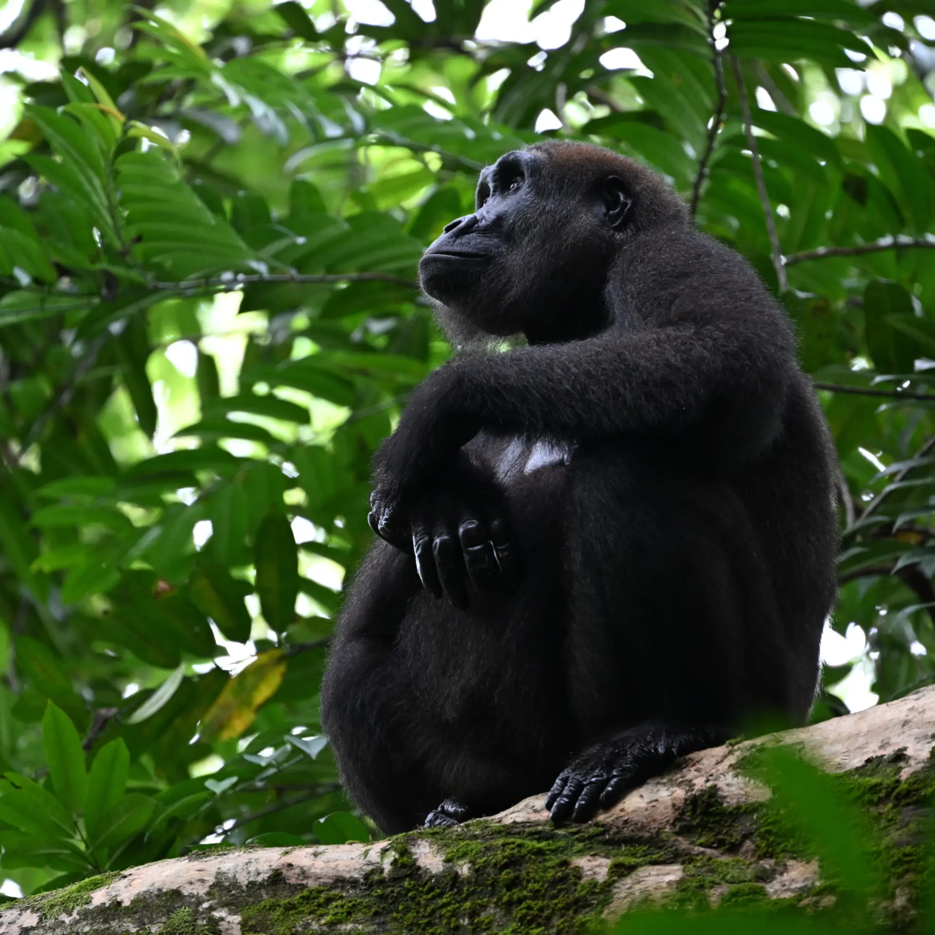 1765965286202dsc2235