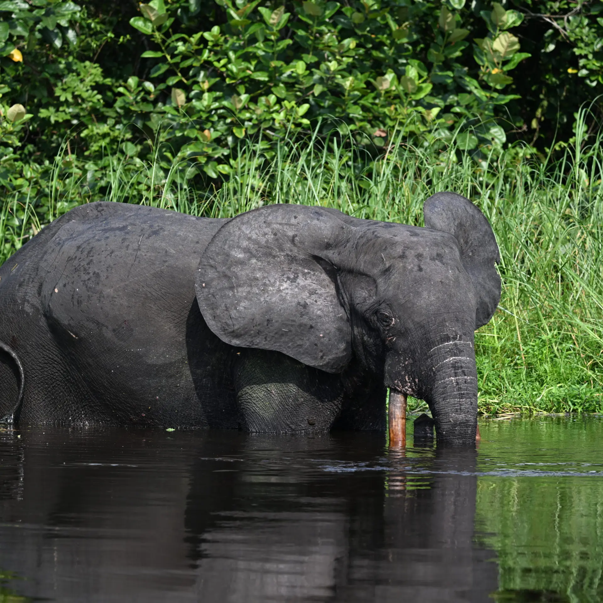 1765965589558dsc2668