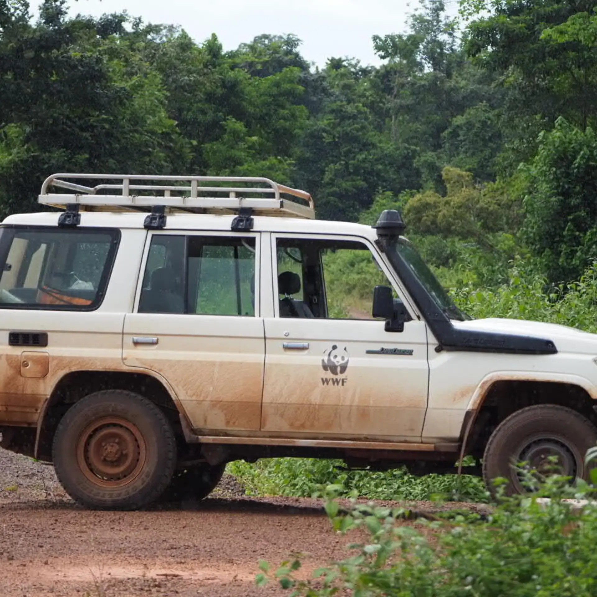 1765966929165p4161274