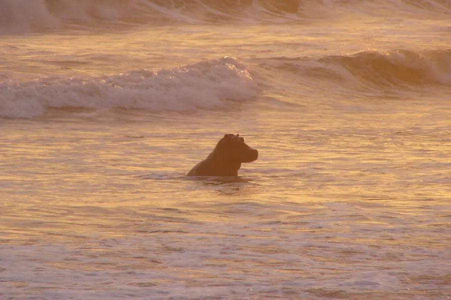 2039115333 ff3cb5b6b1 b