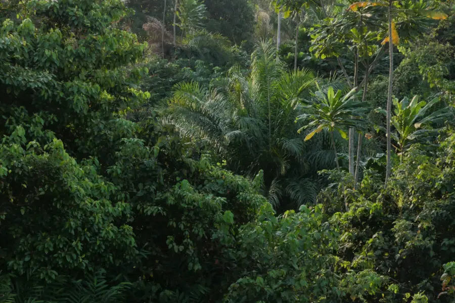 Theau nicolas r8wbj22jvvs unsplash1