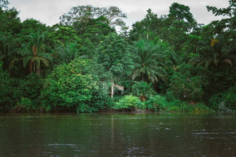 Jealife pictures kwol2awgvr0 unsplash