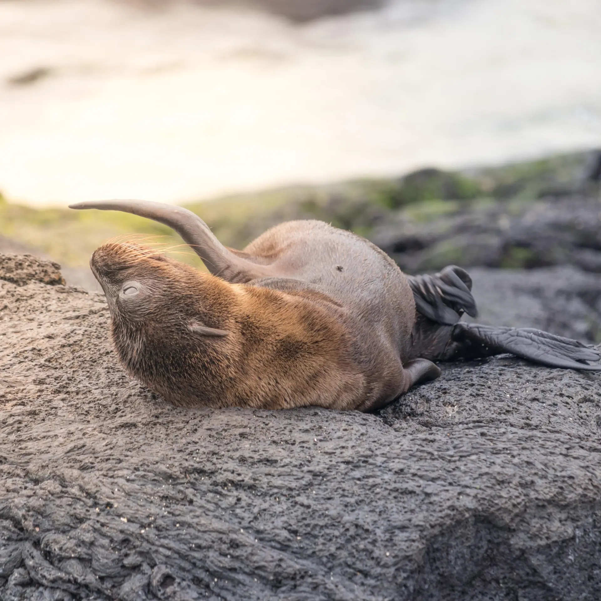 Jacob hinkston acgzeaodvns unsplash