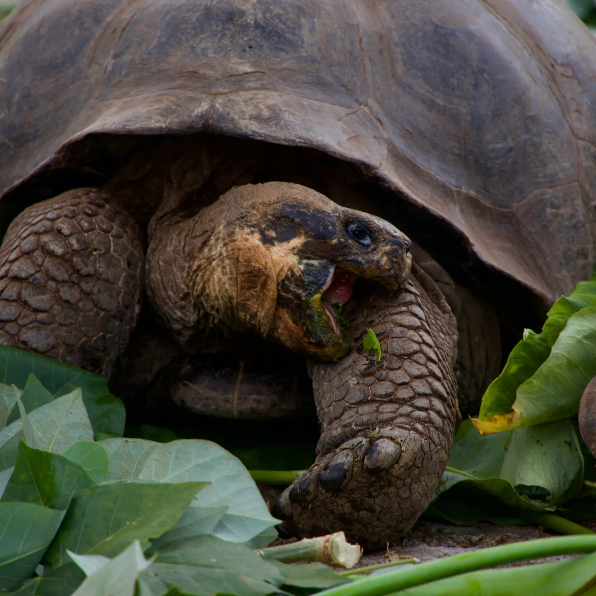 Magdalena kula manchee pw0q93ryrue unsplash1