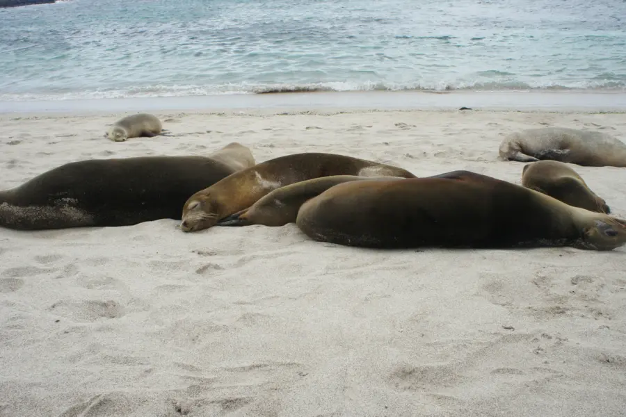 Bruno vaccaro vercellino dnw5nssu8j8 unsplash