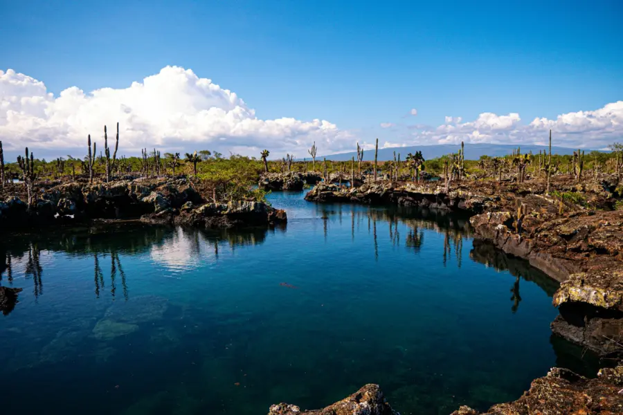 Bjarn bronsveld fw5wzlt1sjo unsplash