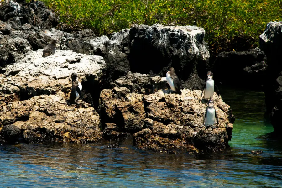 Sofia vmuwim62xlo unsplash