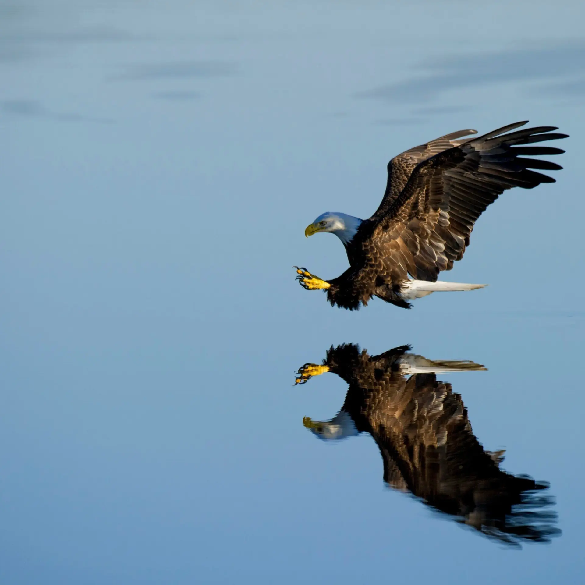 Ray hennessy oje4rtaibfc unsplash