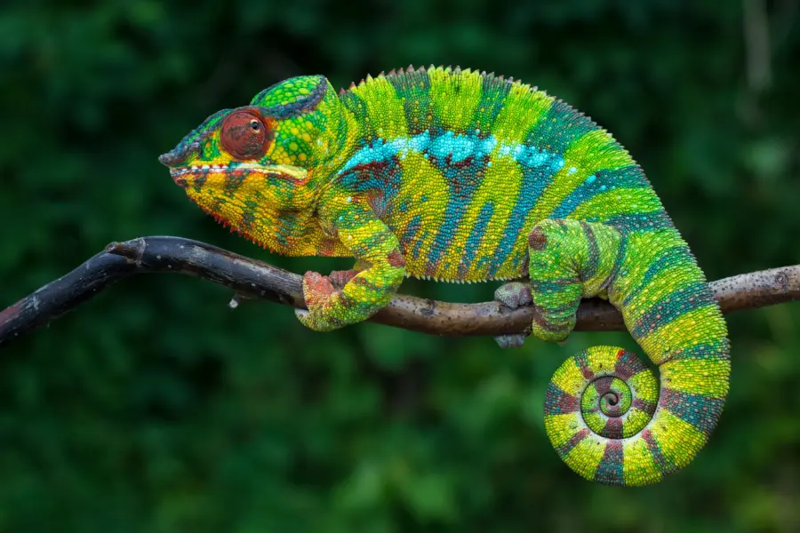 Shutterstock 661154734