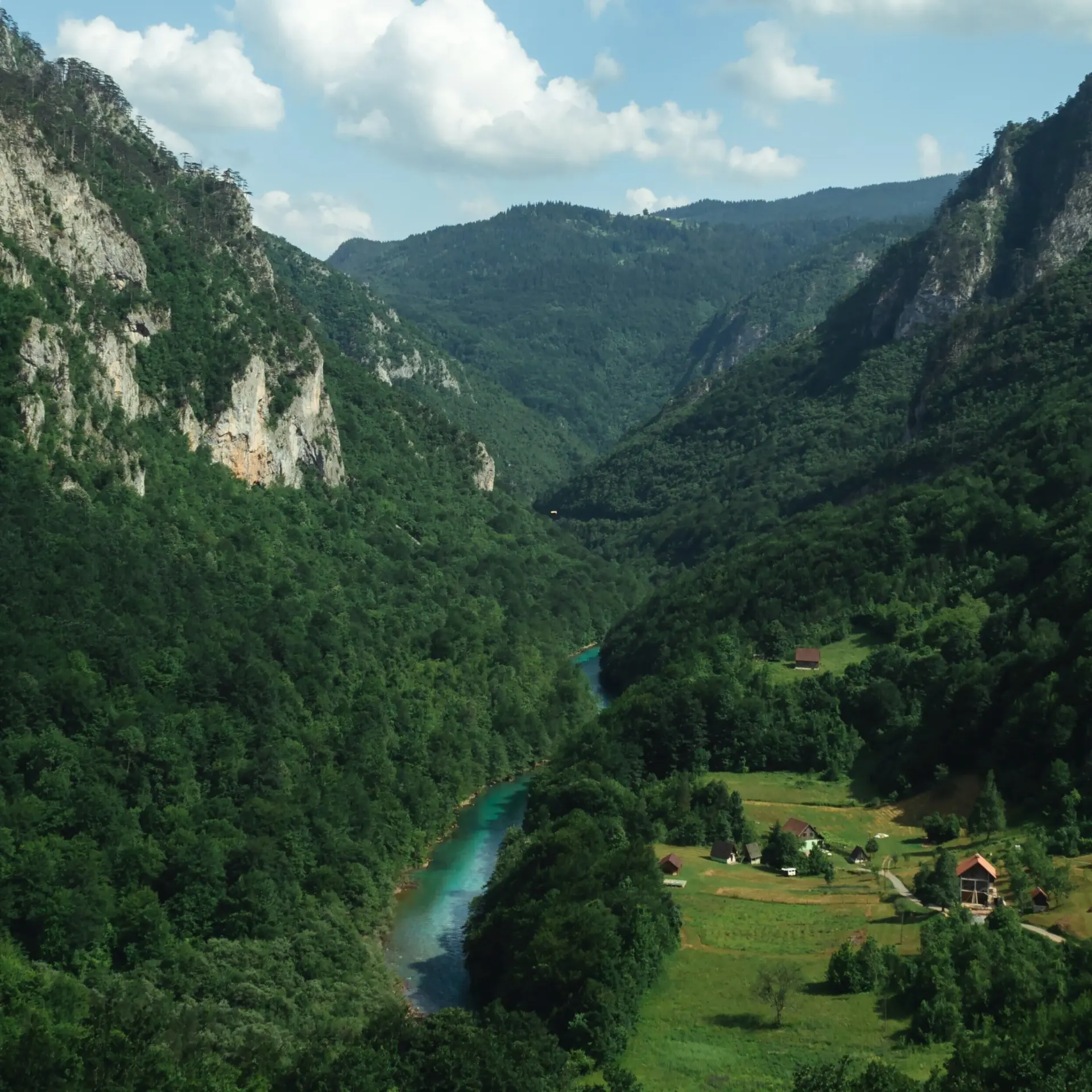 Gleb lucky 6zr9aizooqe unsplash