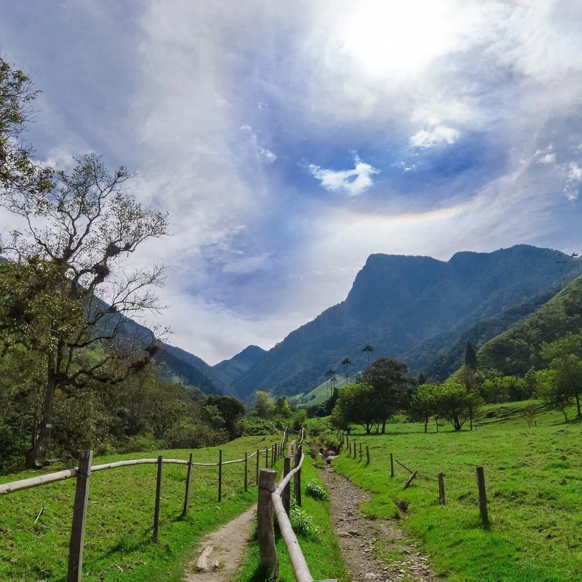 Valle de cocora g81e9836ff 1920