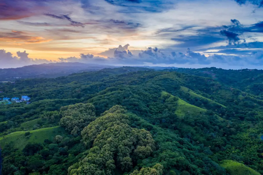 Tobago main ridge forest reserve