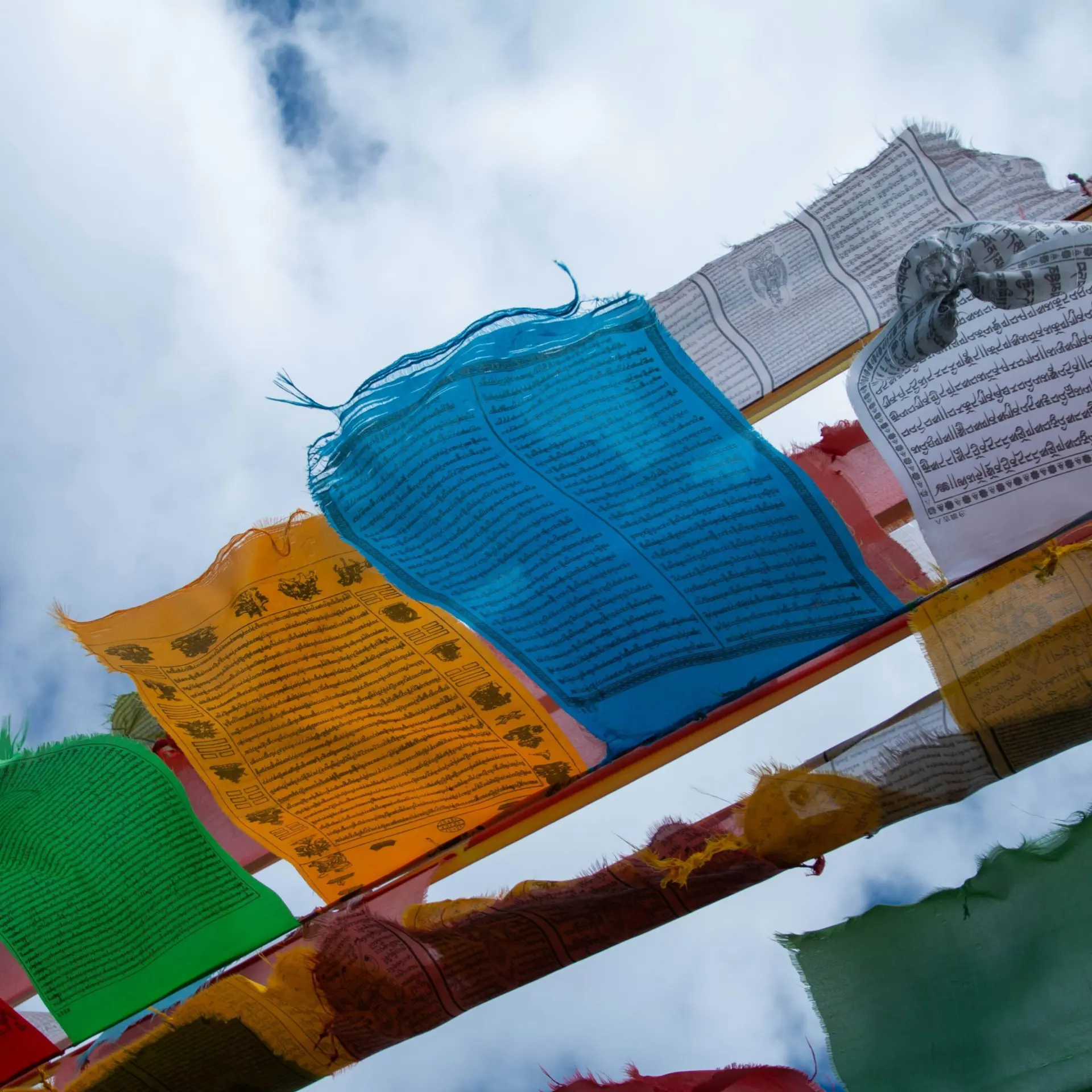 Tim gu fdahnjxvfyi unsplash2